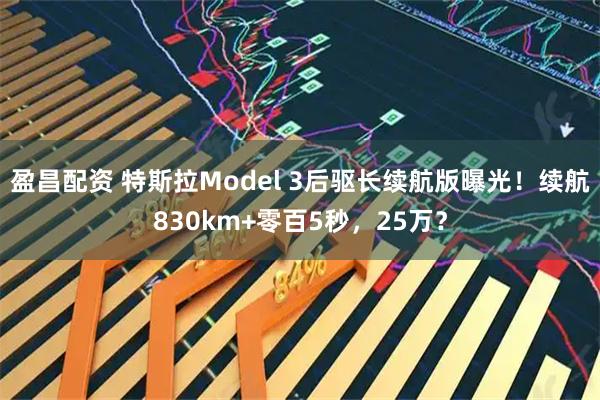 盈昌配资 特斯拉Model 3后驱长续航版曝光！续航830km+零百5秒，25万？