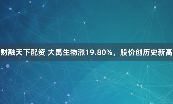 财融天下配资 大禹生物涨19.80%，股价创历史新高